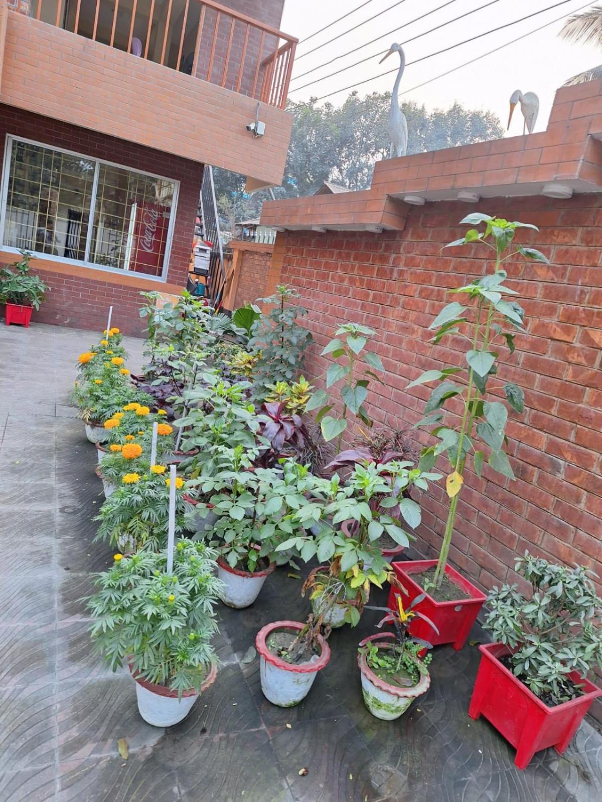 Little Rangpur Inn Buitenkant foto